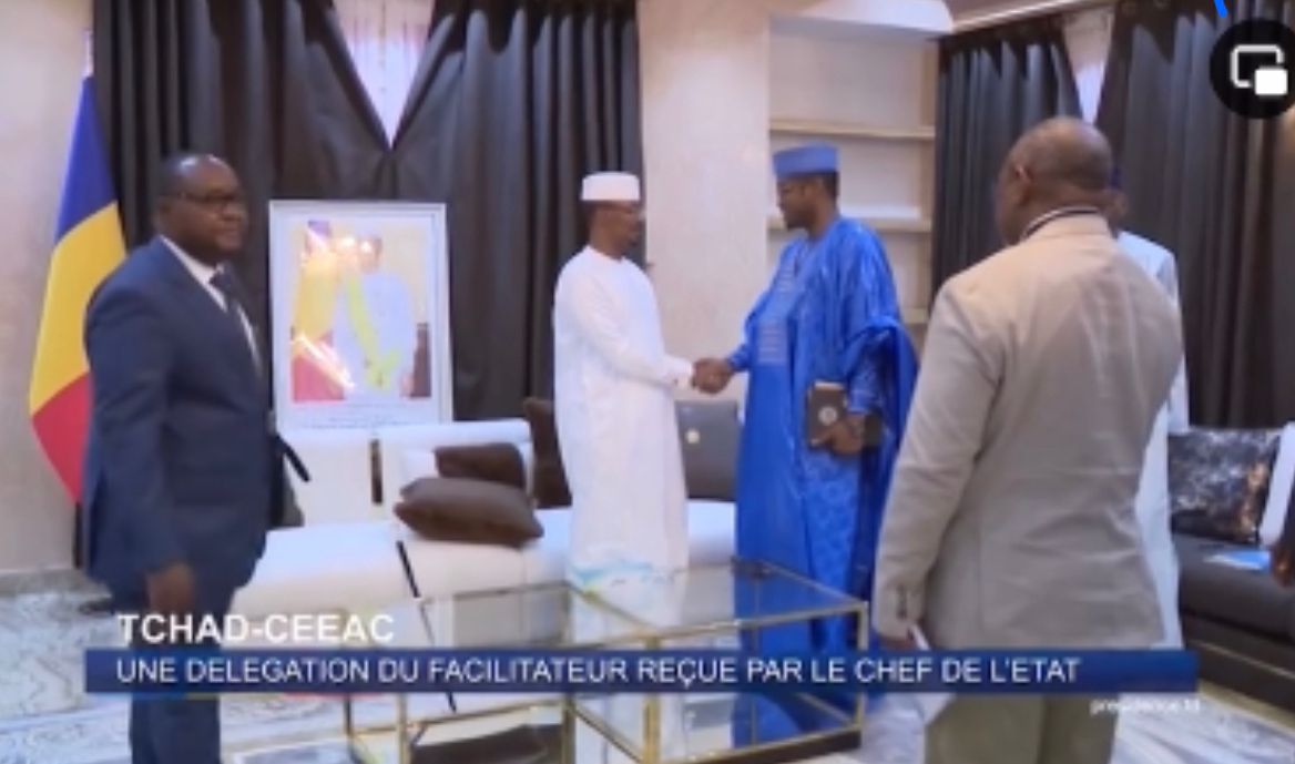 Meeting with Marshal Mahamat Idriss Deby Itno, President of the Republic, Head of State